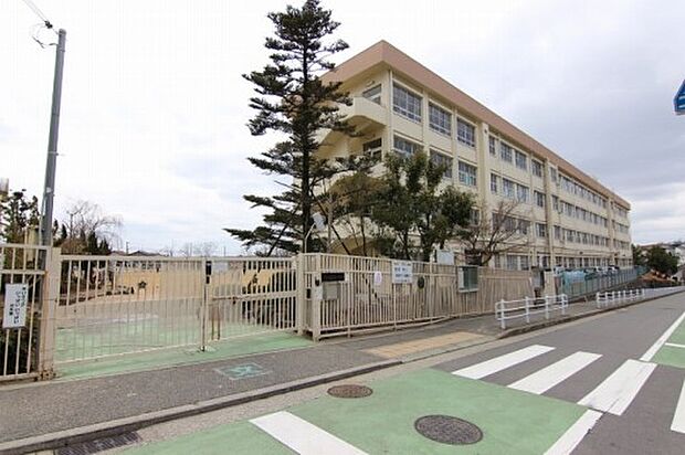 神戸市立北五葉小学校（約493m）