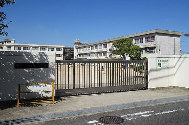 堺市立向丘小学校