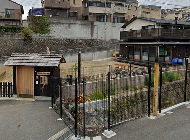 迦の森こども保育園