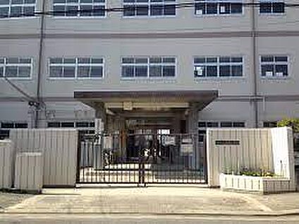 高石市立清高小学校 徒歩650m