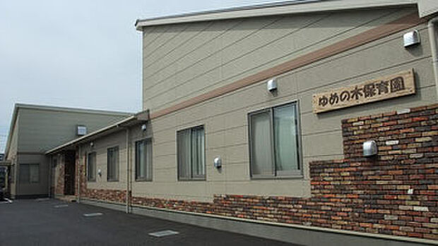 特定非営利活動法人夢の木保育園