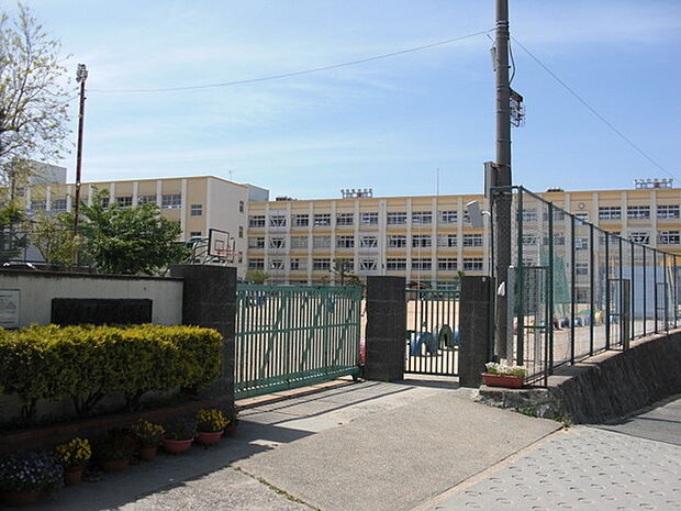 神戸市立南五葉小学校