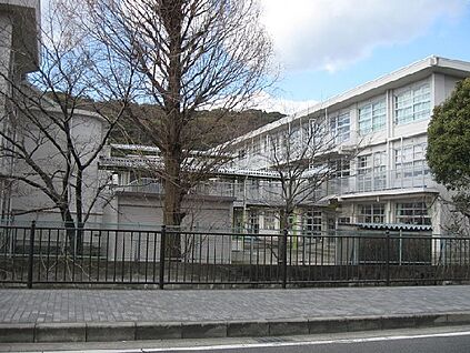 八幡市立八幡小学校 徒歩1306m