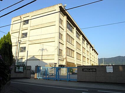 八尾市立上之島小学校 徒歩570m