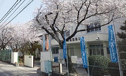 藤井寺市立道明寺中学校 徒歩260m