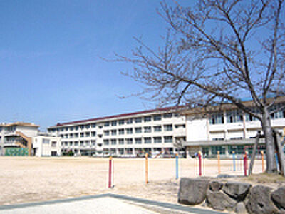西宮市立鳴尾東小学校 徒歩925m