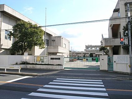 八尾市立志紀中学校 徒歩353m