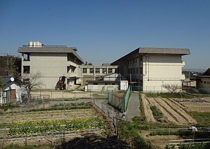 斑鳩町立斑鳩中学校 徒歩1200m
