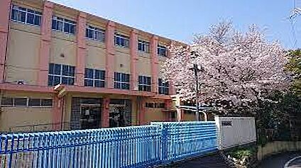 柏原市立国分小学校 徒歩960m