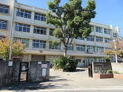 羽曳野市立恵我之荘小学校 徒歩1200m