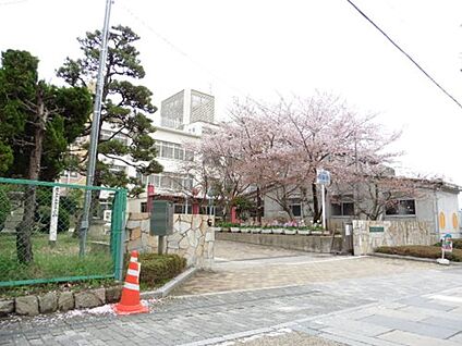 天理市立柳本小学校 徒歩1570m