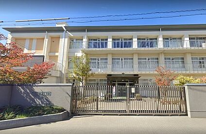 奈良市立済美小学校 徒歩950m