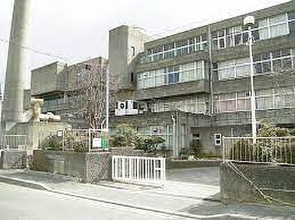 八尾市立桂中学校 徒歩800m