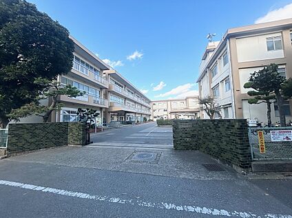 作成小学校 800ｍ(徒歩10分)