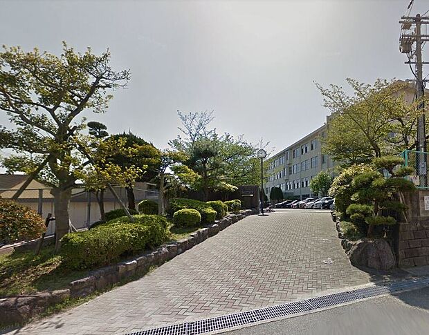 福岡市立金山小学校(約235m)