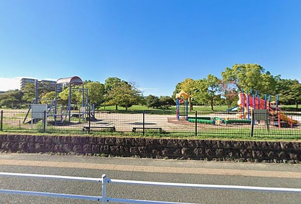 箱崎公園（約800m）