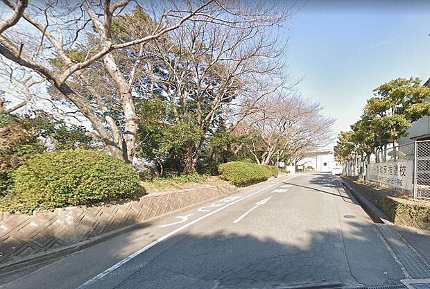 宗像市立自由ヶ丘小学校（約1,700m）
