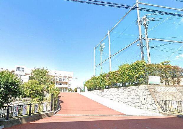 福岡市立箱崎清松中学校（約900m）