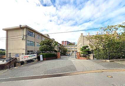 福岡市東区和白丘中学校 1600ｍ(徒歩20分)