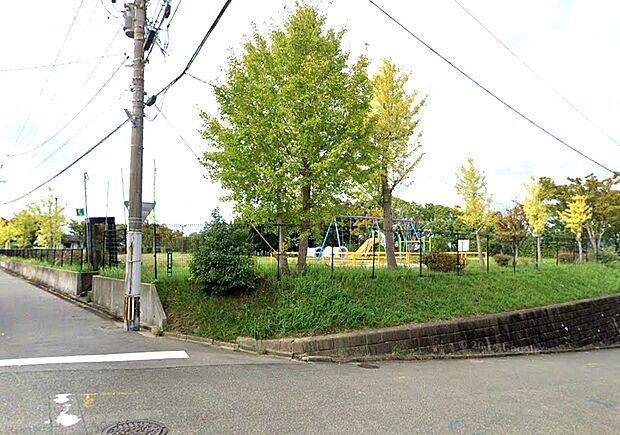 美和台北公園（約150m）
