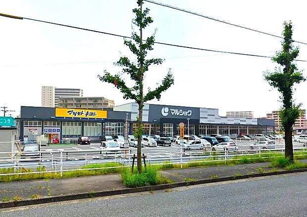 マルショク一枝店(約400m)