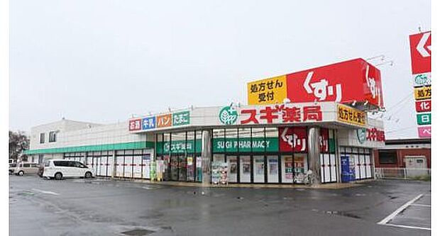 スギ薬局衣川店