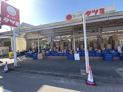 スーパータツミ 約220m(徒歩約3分)