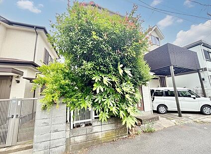 現地写真
