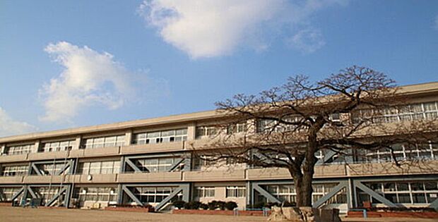 斑鳩小学校(約650m)