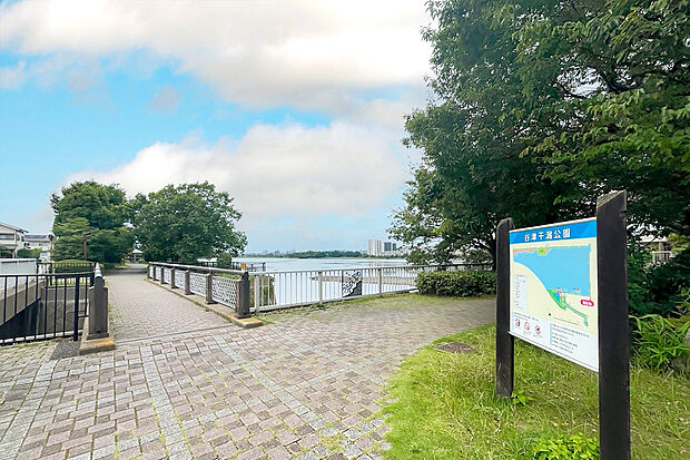 谷津干潟公園／谷津干潟（約1m）