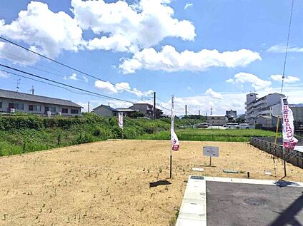 ◆現地写真（５号地）