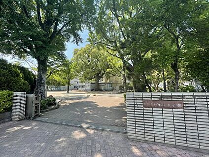 熊本市立 向山小学校 徒歩514m