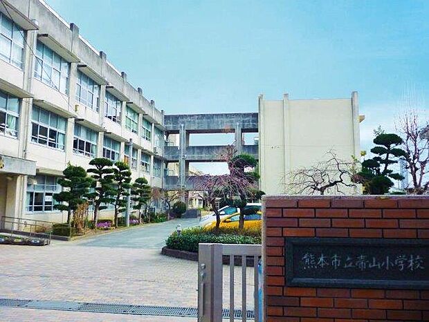 帯山小学校