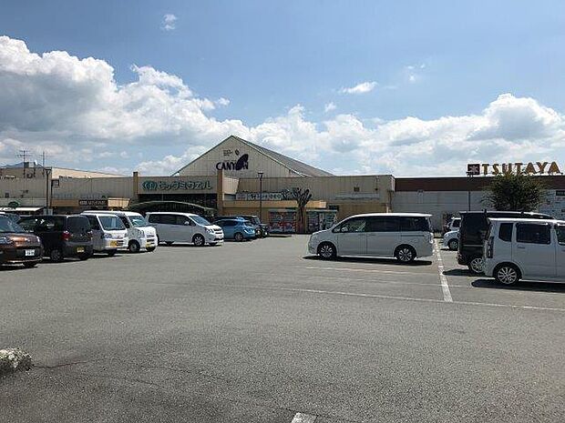 キャニオンスーパービッグミカエル 菊池店