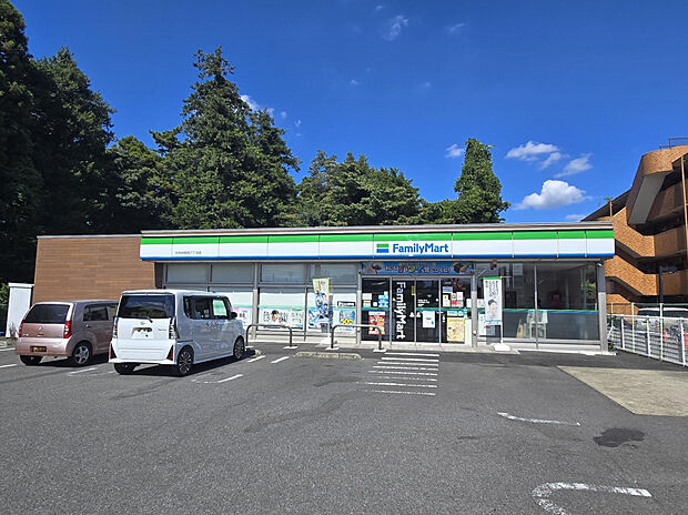 ファミリーマート中央林間西六丁目店（約650m）