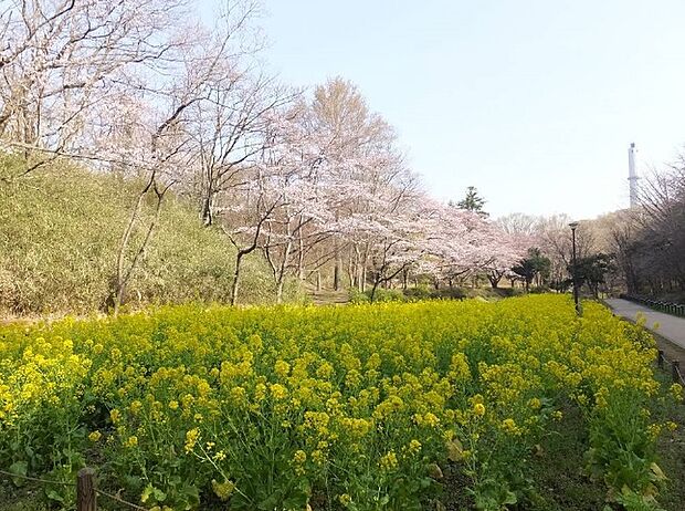 逗子海岸（約1,300m）