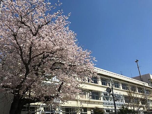 船橋市立八栄小学校（約1,000m）