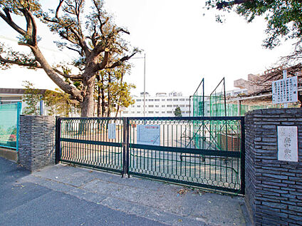 横浜市立南中学校 800ｍ