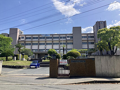 大城小学校 280m