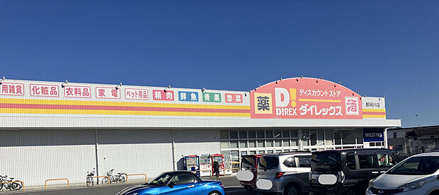 ダイレックス那珂川店（約650m）