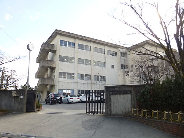 岡崎市立矢作北中学校(約442m)