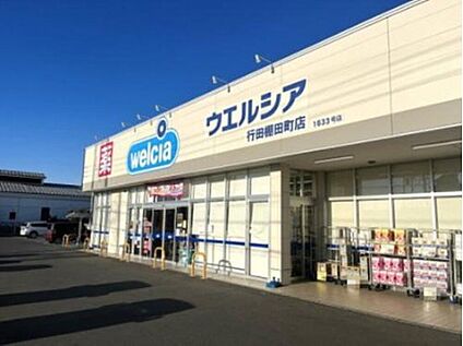 ウエルシア行田棚田町2丁目店 約1,060m(徒歩約14分)