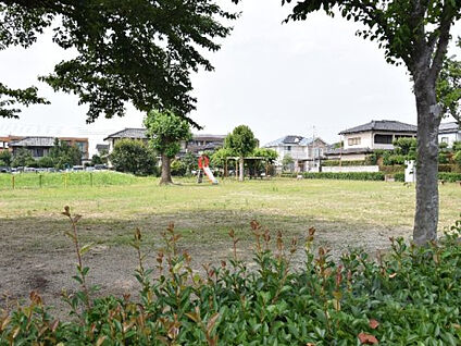 新田公園 約260m(徒歩約4分)