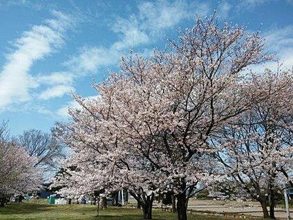 加須はなさき公園  約1,430m～1,560m(徒歩約18～20分)