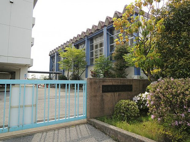 行田市立泉小学校(約800m)