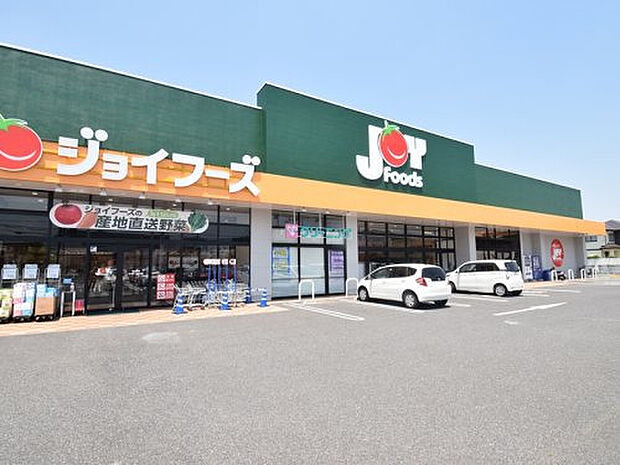 ジョイフーズ 高崎剣崎店