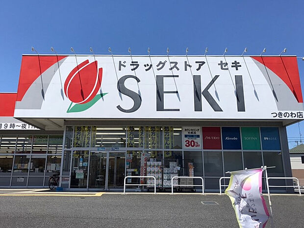 ドラッグストアセキつきのわ店