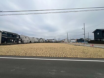 現地写真