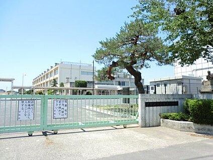 伊勢崎市立殖蓮小 約600m(徒歩約8分)