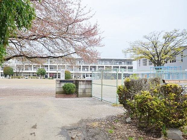 休泊小学校